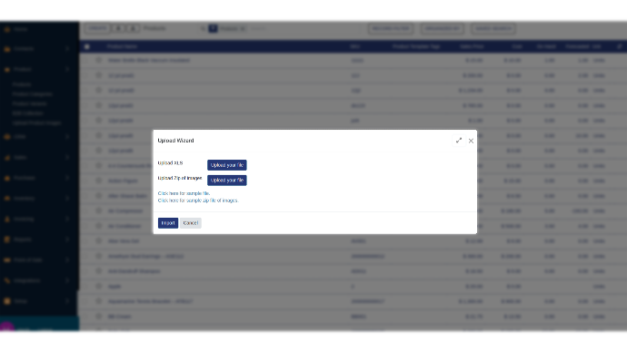 Import PO With CSV / Excel