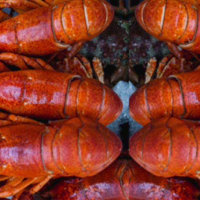 ERP for Food Business